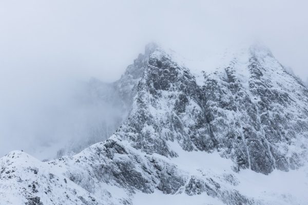 Blanc de Norvège