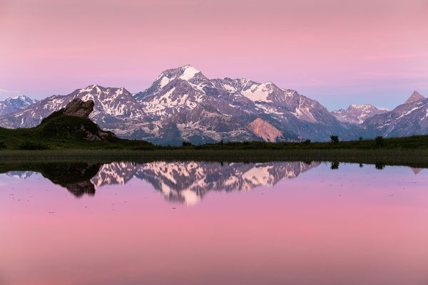 Mont Pourri rose