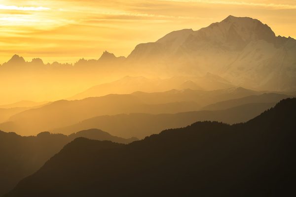Millefeuille des Alpes